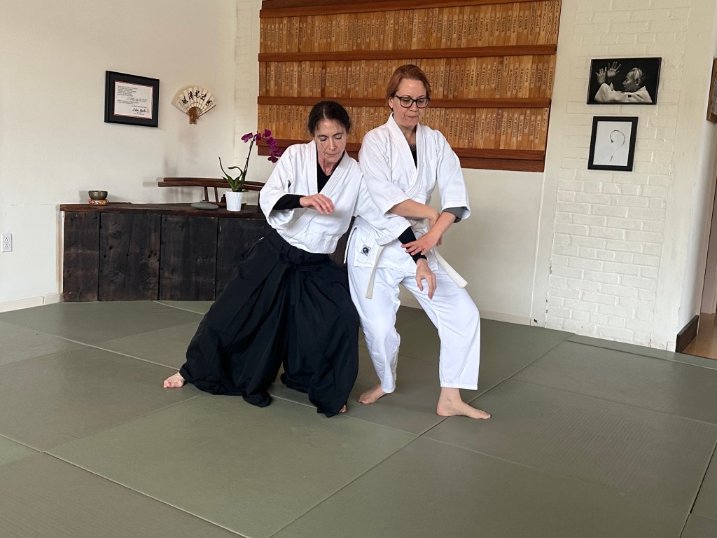 Laura and Jaime practicing aikido.